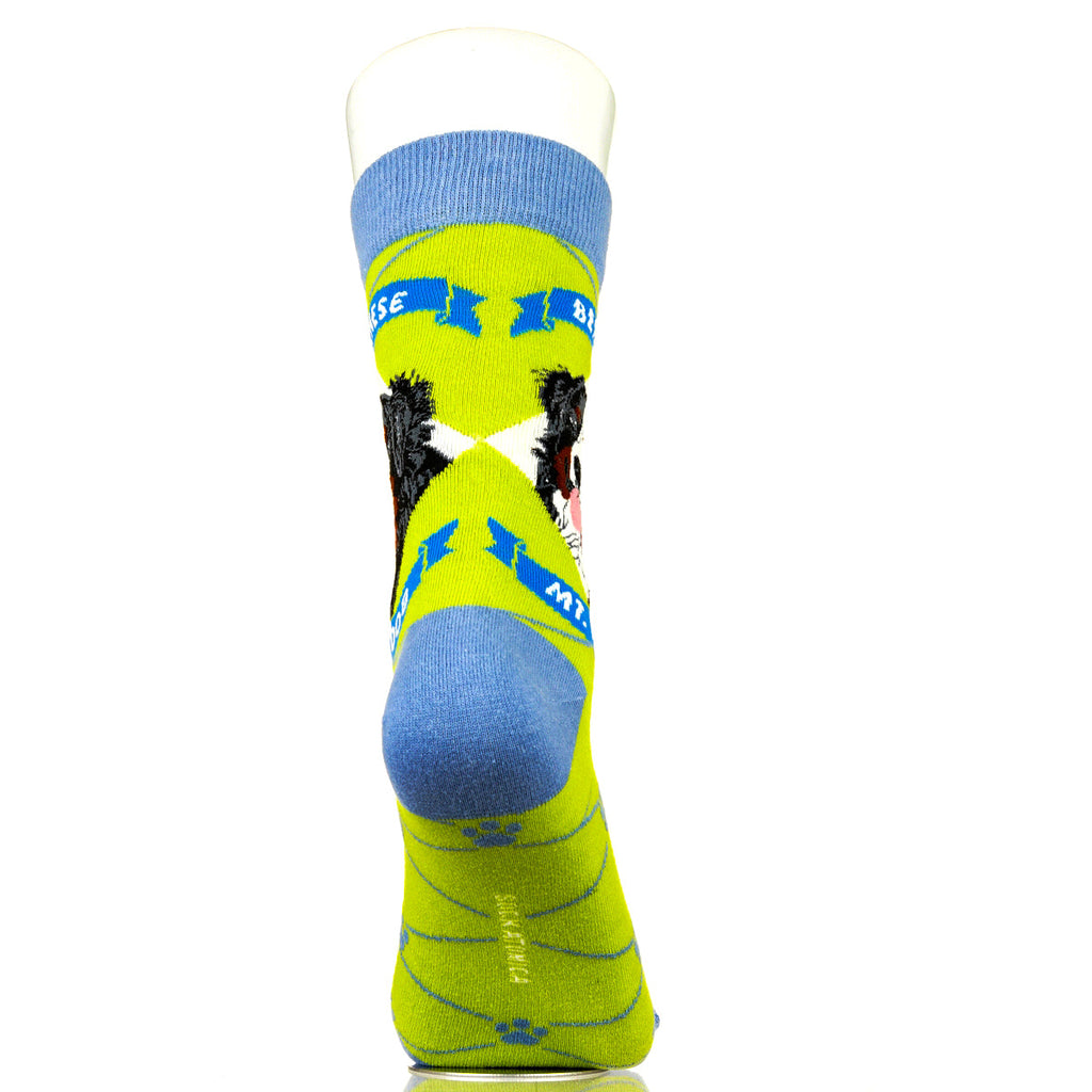 Bernese Mountain Dog | Argyle Pups