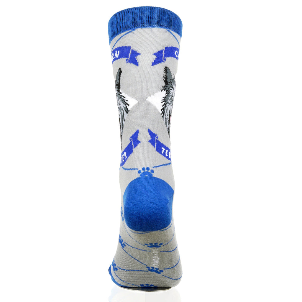 Cairn Terrier | Argyle Pups