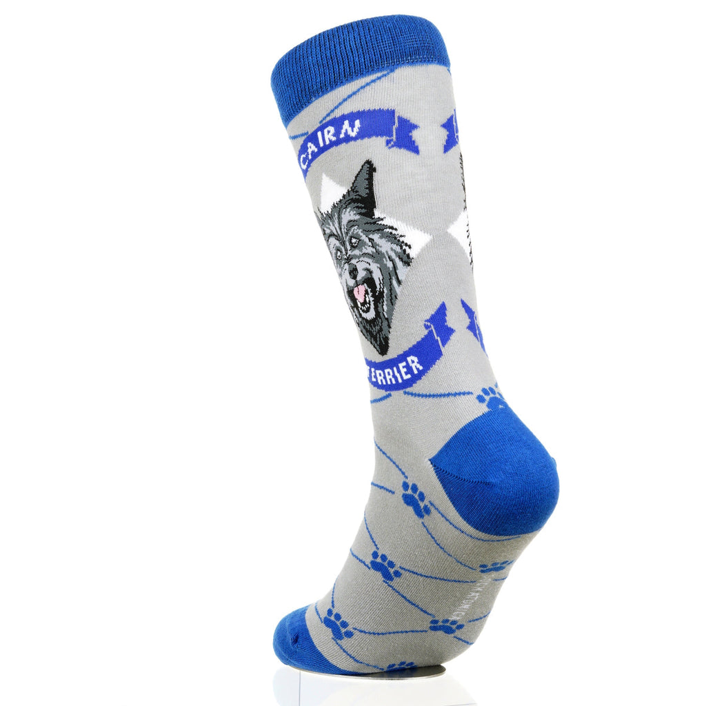 Cairn Terrier | Argyle Pups