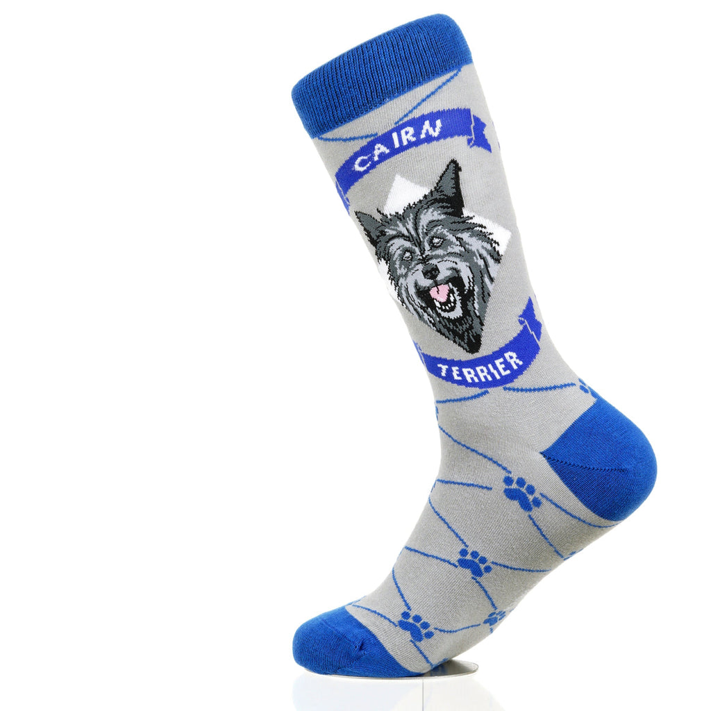 Cairn Terrier | Argyle Pups