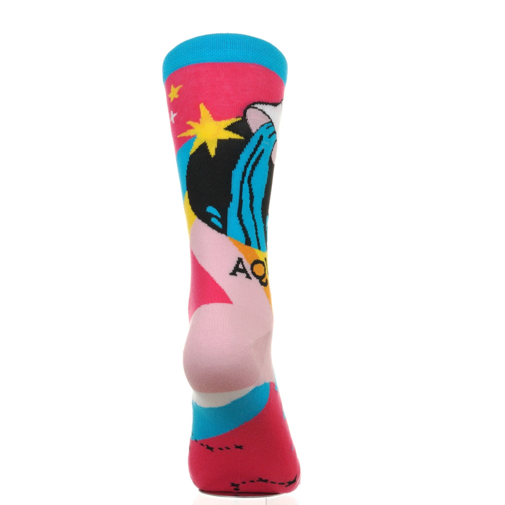 Zodiac Signs Aquarius