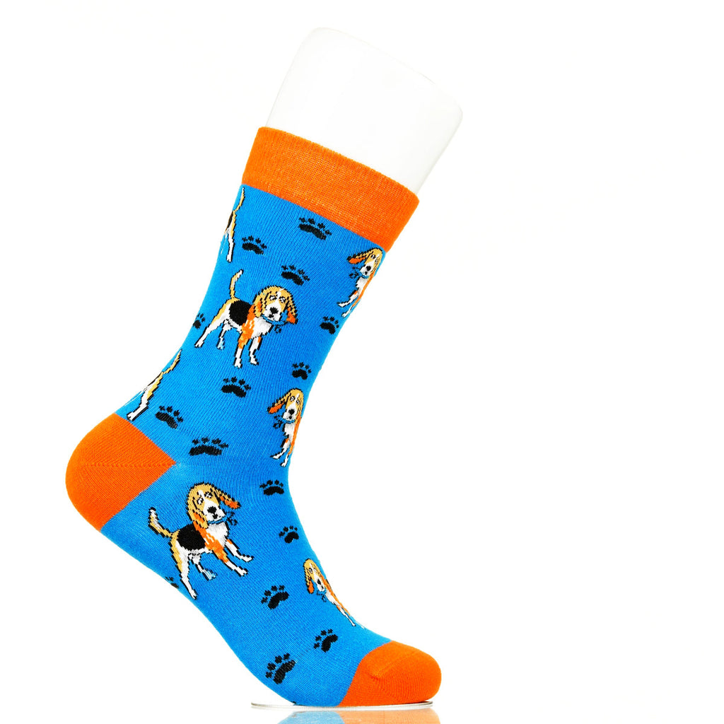 Beagle | Plenty of Pups