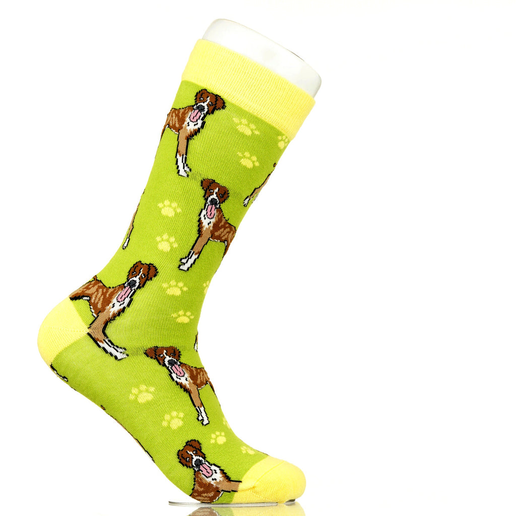 Boxer | Plenty of Pups