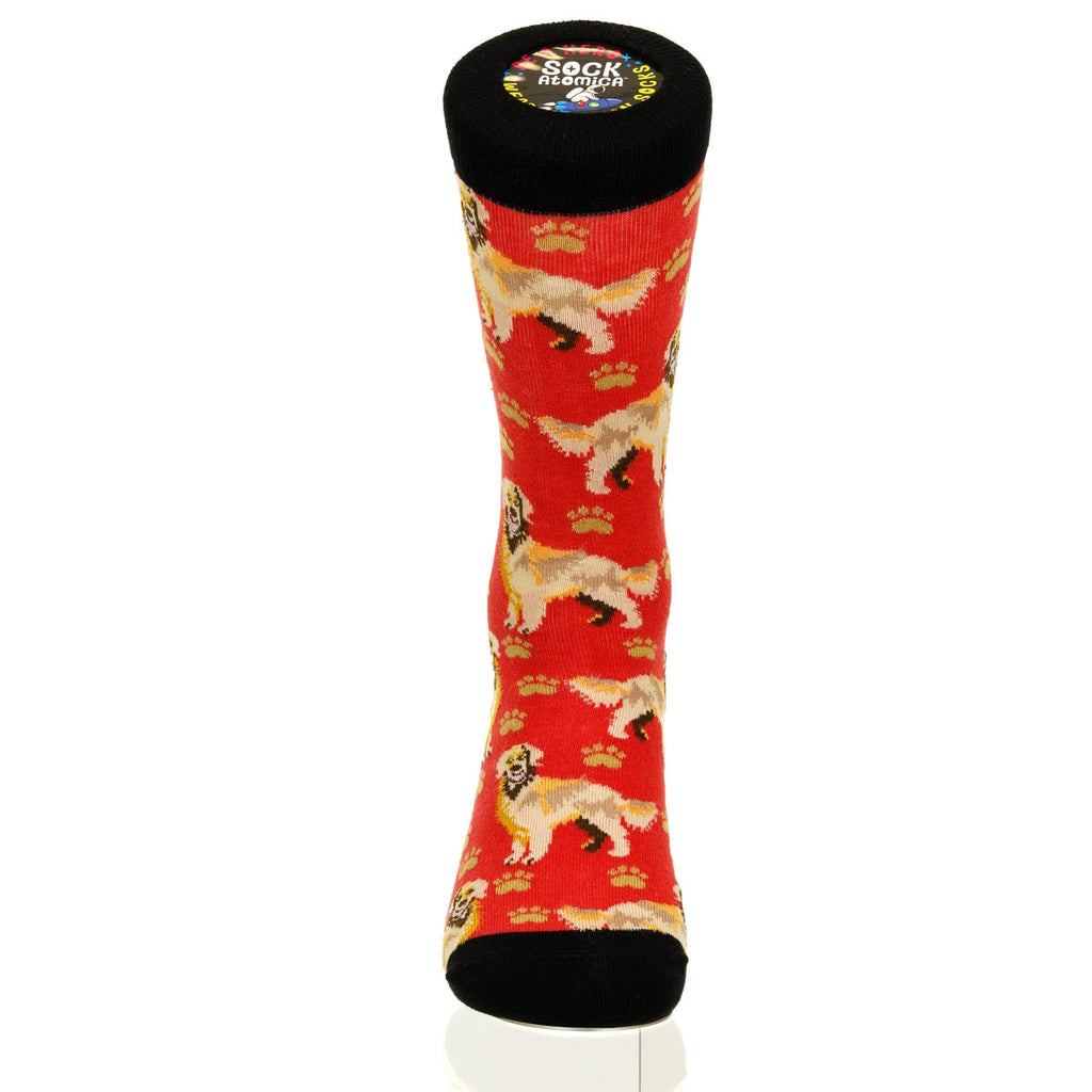 Golden Retriever | Plenty of Pups