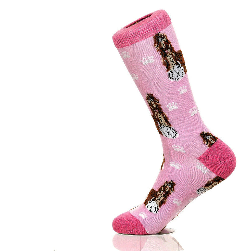 Shih Tzu | Plenty of Pups