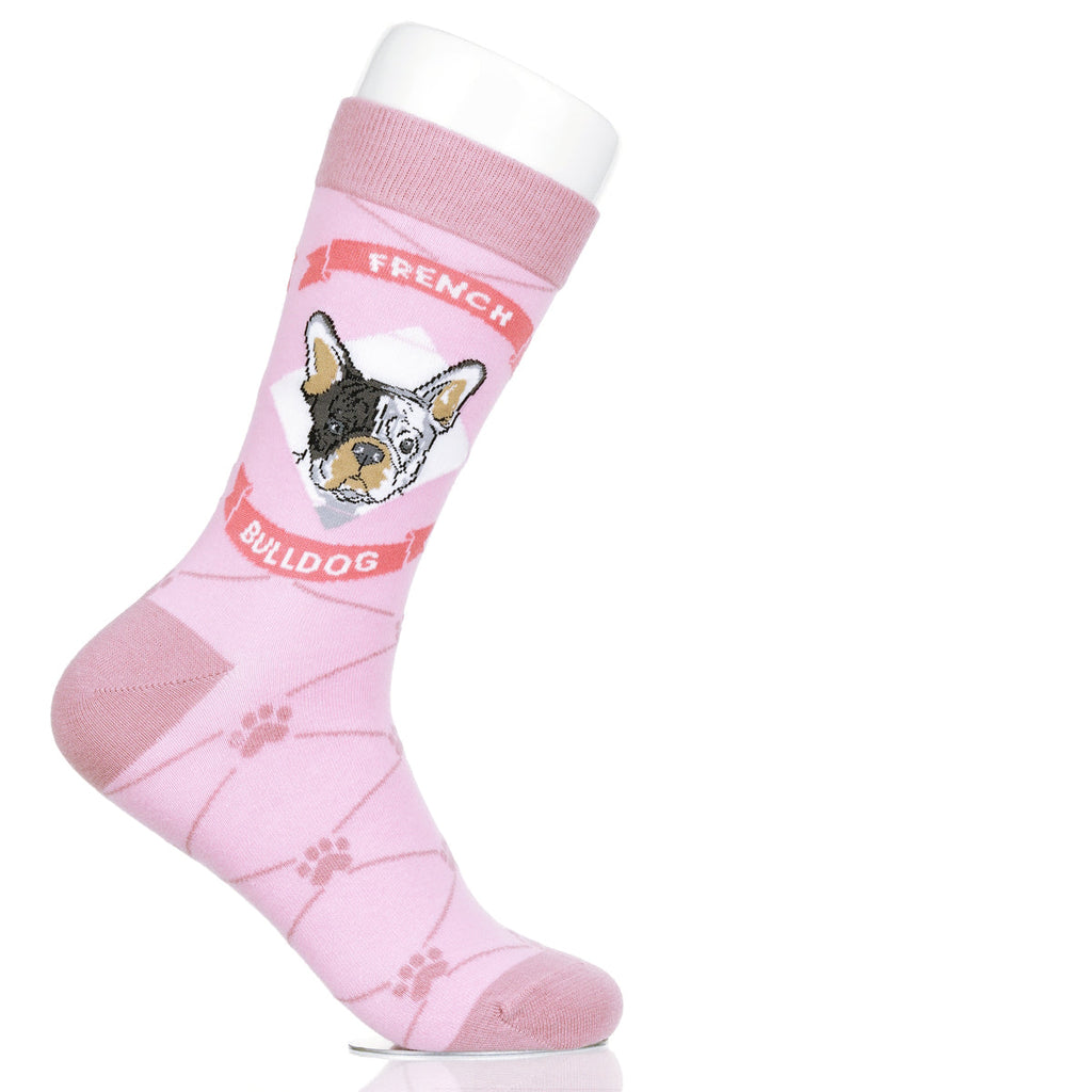 French Bulldog | Argyle Pups