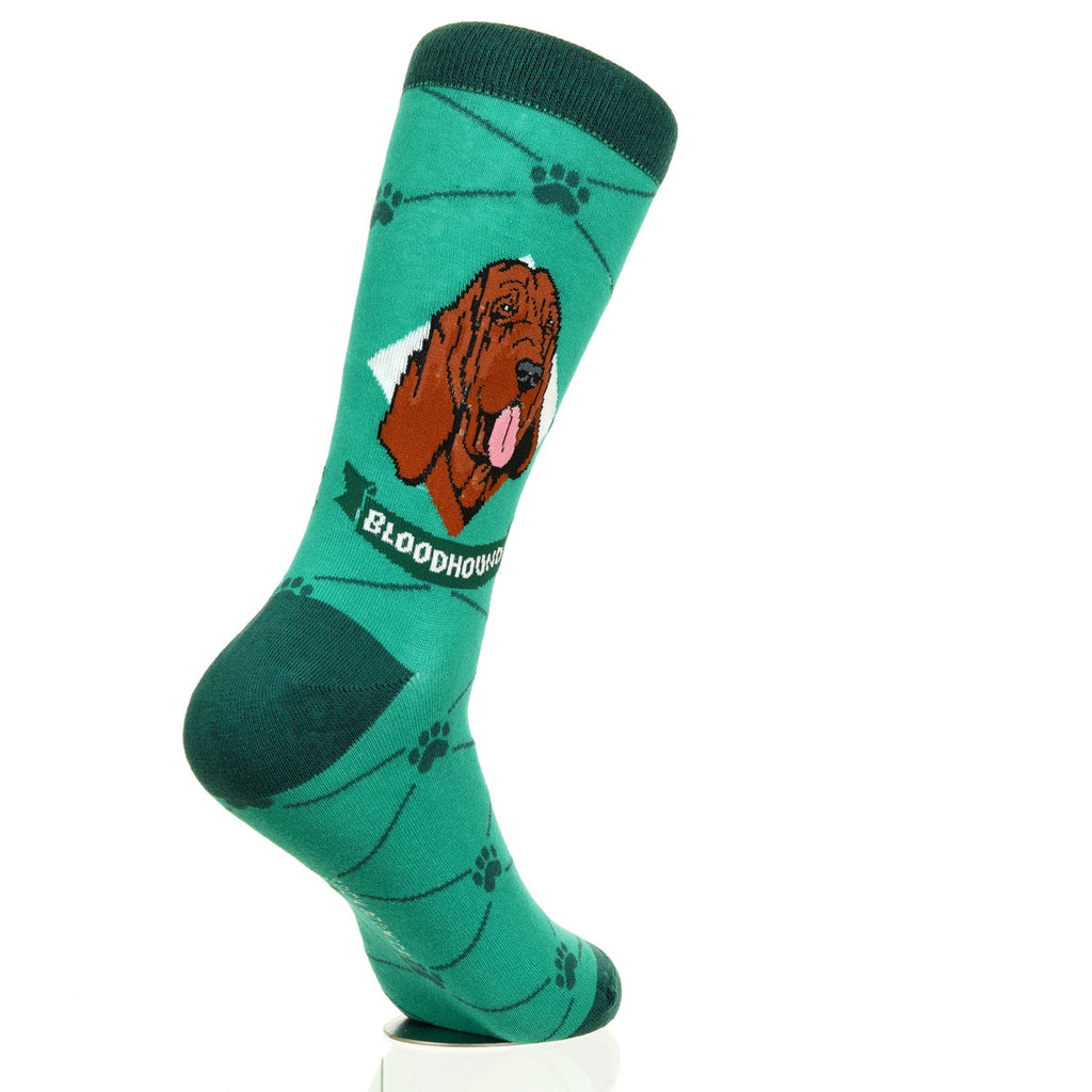 Bloodhound | Argyle Pups