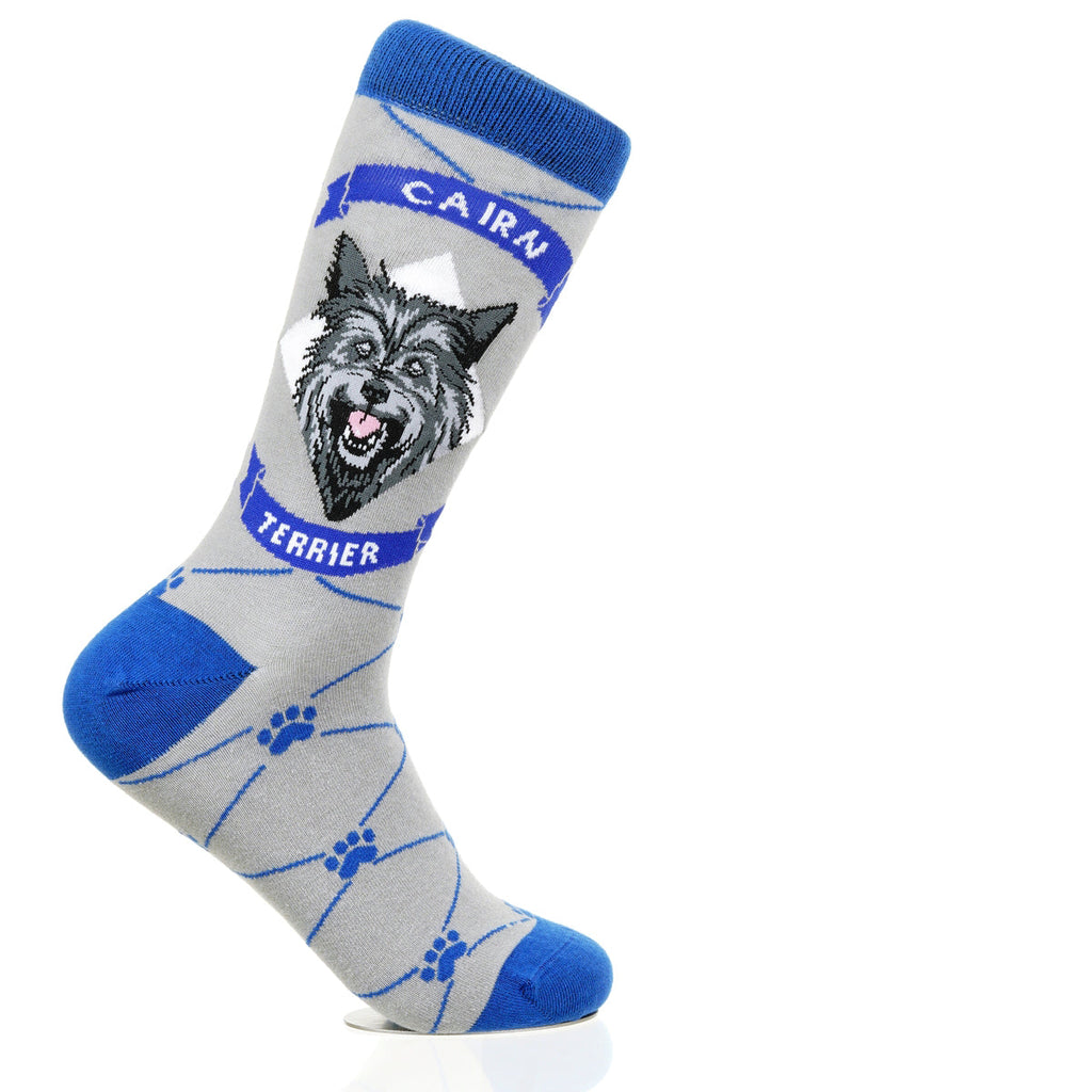 Cairn Terrier | Argyle Pups