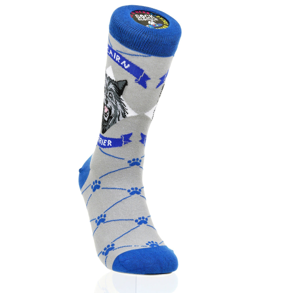 Cairn Terrier | Argyle Pups