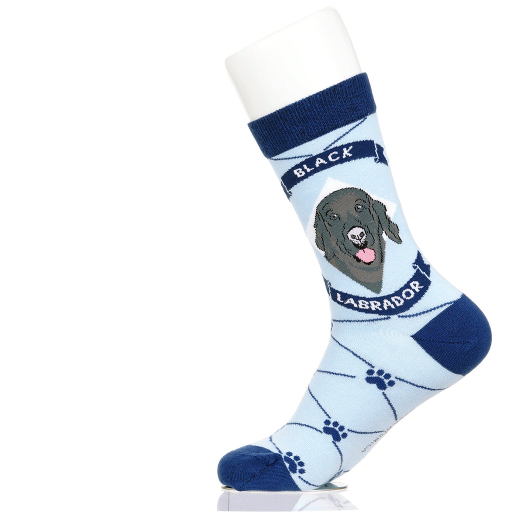 Labrador Black Lab | Argyle Pups