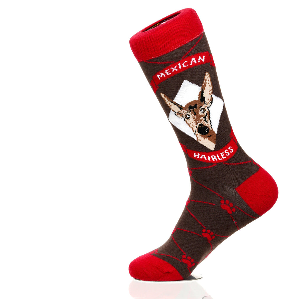 Mexican Hairless | Argyle Pups