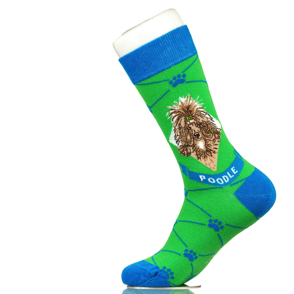 Poodle | Argyle Pups