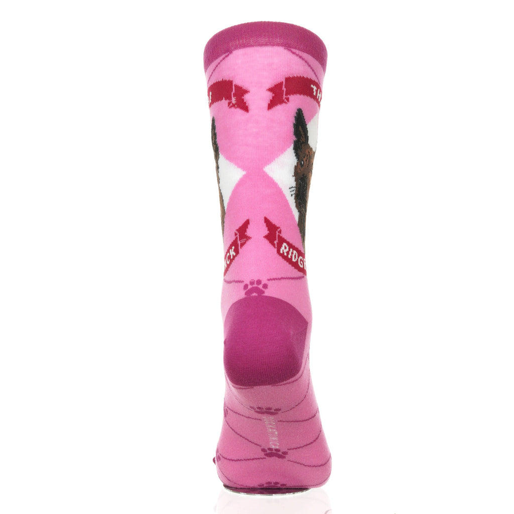 Thai Ridgeback | Argyle Pups